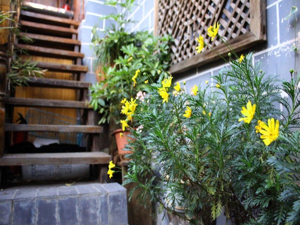 Rongludi Inn Lijiang  Exterior foto